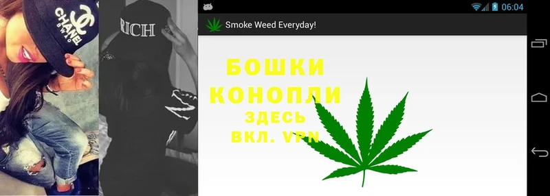 Конопля SATIVA & INDICA  Мглин 